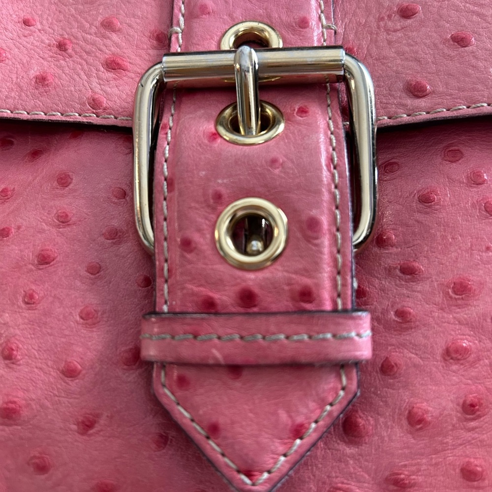 Dooney & Bourke Pink Textured Leather Bag with Silver Accents